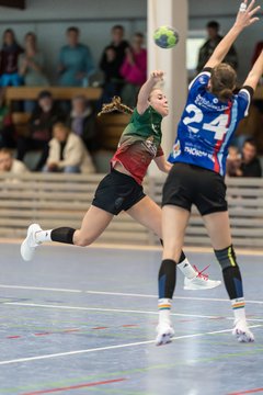 Bild 174 - F HSG Kremperheide/Muensterdorf - HSG Holstein Kiel/Kronshagen : Ergebnis: 31:26
